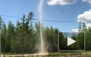 В Касимово разбушевался смерч 