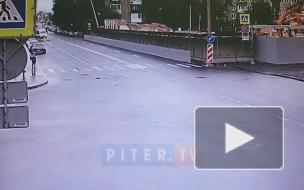 Видео: на Двинской упало дерево