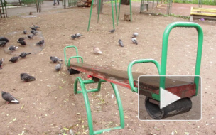 Труп женщины в лосинах нашли на детской площадке в Веселом поселке