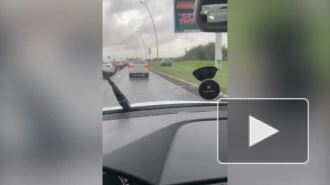 Водители объезжают 5-балльную пробку по газону на Пулковском шоссе