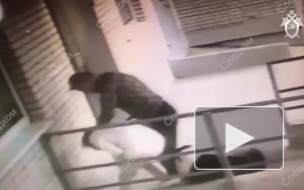 Видео: Пёс спас ростовчанку от убийцы с ножом