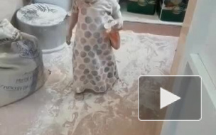 Мука
