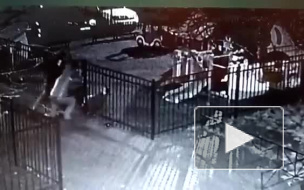 Ужасающее избиение молотками бизнесмена на Большой Пушкарской зафиксировали на видео камеры наблюдения