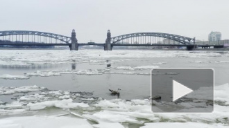 Петербуржец снял с дрона удивительный красоты ледоход на Неве 