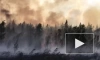 Пройденная огнем площадь лесных пожаров в Якутии составила более 7 млн га