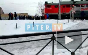 Протаранивший поезд в Кудрово водитель маршрутки оказался любителем скорости