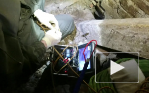 В Кронштадте спасли котенка, который пять дней просидел в дымоходе