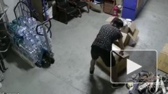 В Подмосковье кладовщик задержан за кражу волейбольных мячей на 4,5 млн