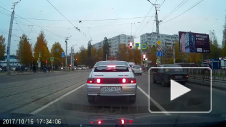 Видео из Смоленска: Из машины на ходу выбросили котенка