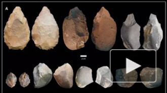 Homo erectus в Эфиопии изготавливали орудия разных эпох