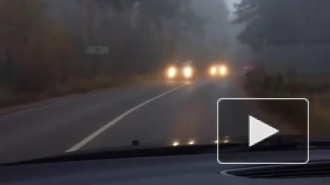 "Зомби-апокалипсис" в Петербурге: горожане жалуются на густой туман
