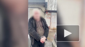 ФСБ изъяла у петербуржца 15 кг кокаина, оружие и поддельные документы