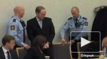 Норвежский радикал Брейвик, убивший 77 человек, попросил об УДО