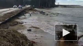 Ураган в Санкт-Петербурге