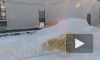 В Пензенском зоопарке для белого медведя сделали снежную горку