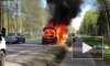 Видео: на Приморском шоссе сгорел автомобиль
