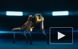 Стартовали продажи робособаки Boston Dynamics за 74,5 тысячи долларов