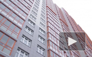 ЖСК-1 Петроградки подозревают в мошенничестве при уборке территорий