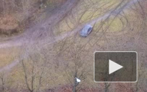 Пьяный водитель "убил" газон в Красном Селе