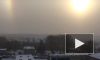 Петербуржцы: над городом нависло "ложное солнце"