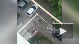 Российские дети закидали камнями старушку