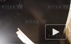 Видео: неизвестный украл велосипед на улице Хлопина