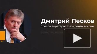 В Кремле оценили подготовку к встрече Путина и Зеленского