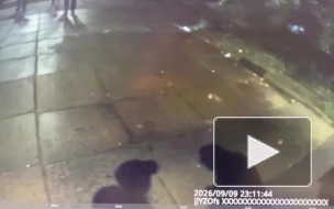 Появилось видео задержания петербуржца, признавшегося в убийстве матери