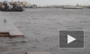 23 сентября Петербург накроет аномальный ветер, опасный для жизни
