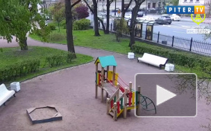 Суд отказал следствию в аресте таксиста и водителя автобуса, ставших участниками смертельного ДТП на Суворовском