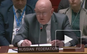 Небензя считает, что Украина превратилась в частную военную компанию НАТО