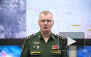 Минобороны РФ: российские военные уничтожили украинский склад с боеприпасами в ЛНР
