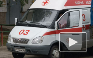 За запертого в багажнике младенца родители ответят по суду 