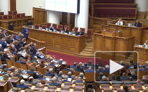 Совет Федерации не будет проводить новогодний корпоратив в этом году