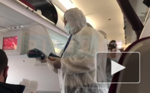 Видео: в Пулково с Бали вернулись петербуржцы 