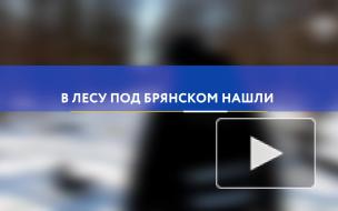 В лесу под Брянском нашли обгоревшее тело младенца