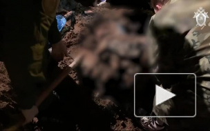 Видео: в Подмосковье нашли тела депутата и ее родных, убитых в 2012 году