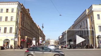 Самым удобным для жизни районом Петербурга оказался Центральный