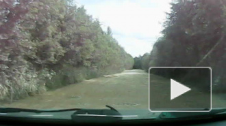 Полоса препятствий