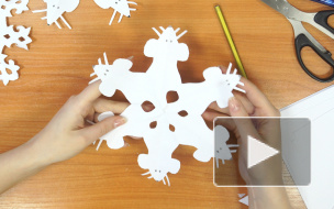 Символ года, мем с котом и логотип Петербурга: вырезаем необычные снежинки к Новому году