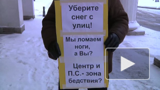 П.С. – зона бедствия? Пикет у Смольного. Требуют убрать снег П.С. – зона бедствия? Пикет у Смольного. Требуют убрать снег