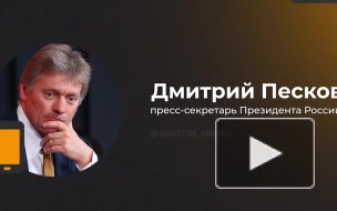 В Кремле назвали жестом доброй воли со стороны РФ продление "зерновой сделки"