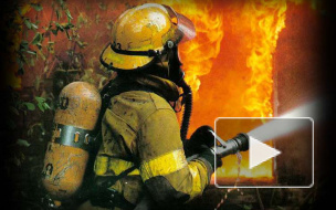 В Петербурге горел жилой дом. Полицейские вытащили людей из пожара до приезда МЧС