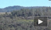 В Сети появилось видео с места разрушения плотины в США