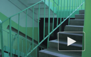 Сидящий труп загадочно погибшего белоруса нашли в парадной Петербурга