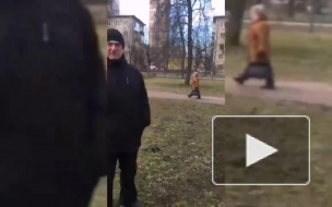 В спор из-за выгула собак в Петербурге вмешалось оружие