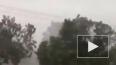 Во Вьетнаме из-за тайфуна "Ноул" погибли 6 человек