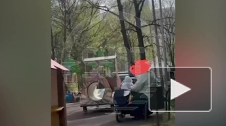 Мать избила и обматерила грудного ребенка на детской площадке в Москве