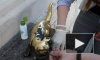 Активисты отмыли скульптуру котенка Фунтика
