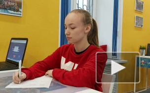 В Петербурге 2000 волонтеров расскажут о будущем Конституции страны